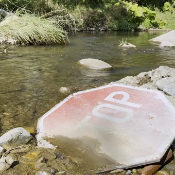 Photo du dépôt sauvage